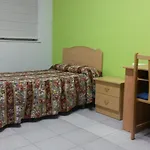 Vandrerhjem Ciudad De *